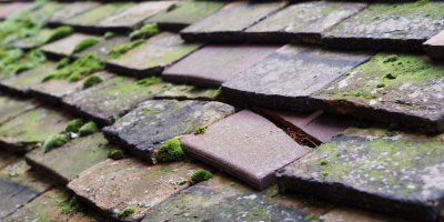 Playden roof repair costs